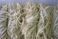 �ʐ^�A���Ί���