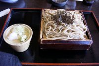 �ʐ^�A���������������̂���