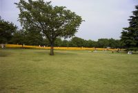 �ʐ^�A���a�L�O�����̃|�s�[