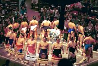 �ʐ^�A�y�U����A�M����