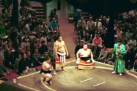 �ʐ^�A�y�U����A�M�T��