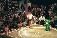 �ʐ^�A�M�T�Ԃ̎d�؂�