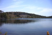 �ʐ^�A����r