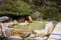 �ʐ^�A�����ȏa�쉷��I�V���C