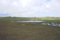 �ʐ^�A�J��������