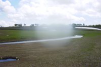 �ʐ^�A�����Y�̓܂�