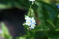 �ʐ^�A�G�]�����T�L