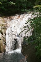 �ʐ^�A����̑�