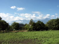 �ʐ^�A��P�x?