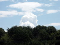 �ʐ^�A�����_