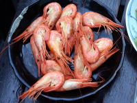 �ʐ^�A�k�C�V�}�G�r