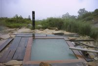 �ʐ^�A�@�؉����C�̓�