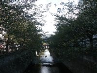 �ʐ^�A���ڍ��t��