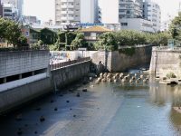 �ʐ^�A�D�������