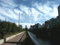 �ʐ^�A�H�̋�