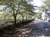 �ʐ^�A�V�����̏I�_