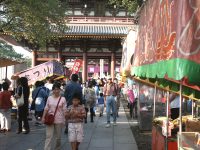 �{�厛�̉���