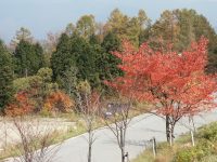 �n���^�[�}�E���e���̍g�t