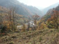 ���S�{�̍g�t