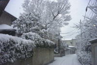 1��27���ߏ��̐�i�F1