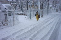 1��27���ߏ��̐�i�F3