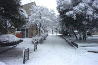 1��27����̓��̋ߏ��̕��i4