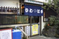 ����͂�(���X)�̎ʐ^