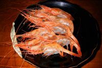 ���ǂ�Â���