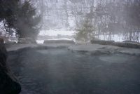 �V�䍂����A��R���̘I�V���C