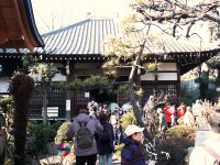 �ʐ^�A崗���