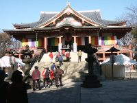 �ʐ^�A����