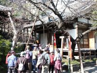 �ʐ^�A���~��