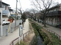 �ʐ^�A�k���Γ�