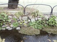 �ʐ^�A�k���Γ��̃N���\��