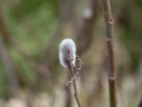 �ʐ^�A�L��