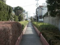 �ʐ^�A�k���Γ��㗬