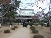 �ʐ^�A������