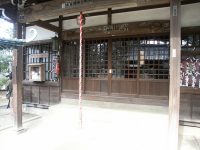 �ʐ^�A������