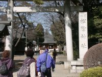 �ʐ^�A���A�_��