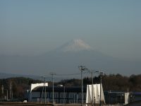 �ʐ^�A�t���̒��̕x�m�R1