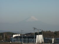 �ʐ^�A�t���̒��̕x�m�R2