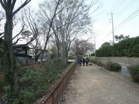 �ʐ^�A�ʐ�㐅