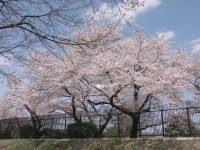 �ʐ^�A���򐅏�̍�