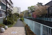 �ʐ^�A�_�c�썂��˕t��