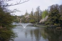 �ʐ^�A��̓�����