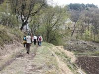 �ʐ^�A�y�̓�