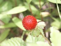 �ʐ^�A��C�`�S