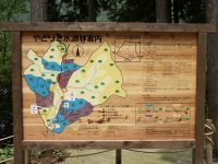 �ʐ^�A���h���M�Ŕ�