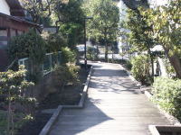 �ʐ^�A��i����Γ�