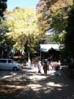 �ʐ^�A�ʐ�_��